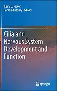 Cilia and Nervous System Development and Function