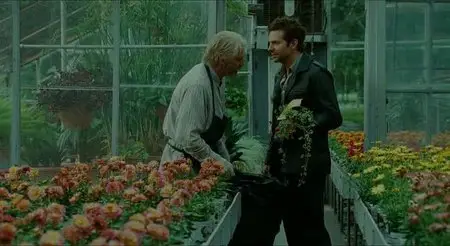 The Words (2012)