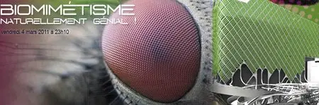 (Arte) Biomimétisme : Naturellement génial ! - 4 volets (2011){Re-UP}