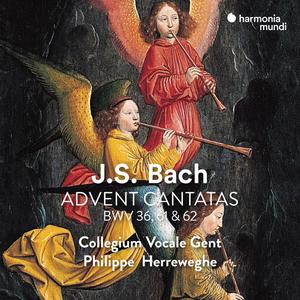 Collegium Vocale Gent & Philippe Herreweghe - J.S. Bach: Advent Cantatas (Remastered) (1996/2023) [Digital Download 24/48]