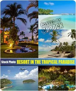 Resort in the tropical paradise - Stock Photo