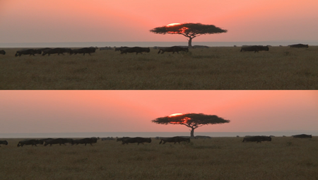 Endless Horizon Africa 3D (2012)