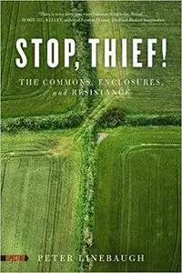 Stop, Thief!: The Commons, Enclosures, and Resistance