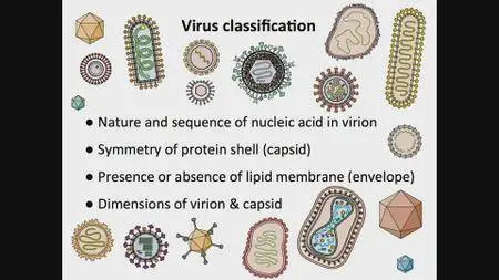 Coursera - Virology I - How Viruses Work
