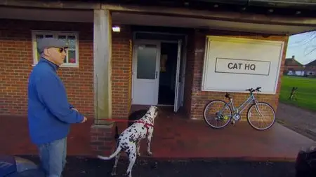 BBC Horizon - Little Cat Diaries (2013)