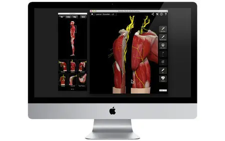 Shoulder Pro III with Animations v3.8 Mac OS X