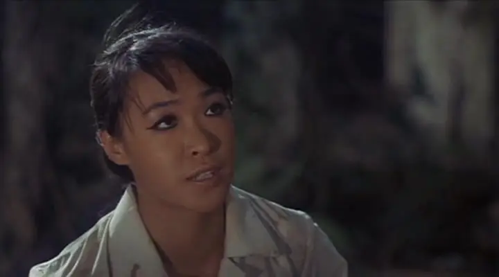 Ambush Bay (1966)