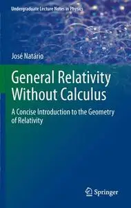 General Relativity Without Calculus: A Concise Introduction to the Geometry of Relativity (Repost)