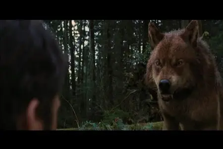 The Twilight Saga: Breaking Dawn - Part 2 (2012)