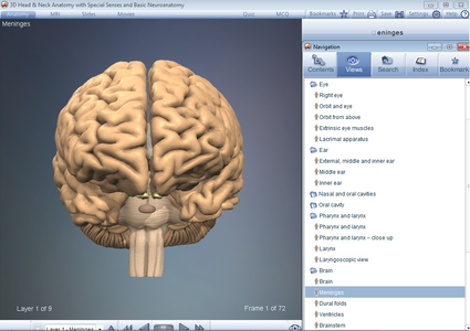 3D Head and Neck Anatomy with Special Senses and Basic Neuroanatomy [repost]