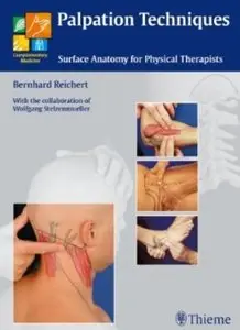 Palpation Techniques: Surface Anatomy for Physical Therapists (repost)