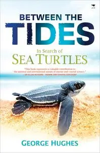 Between the Tides: In Search of Sea Turtles