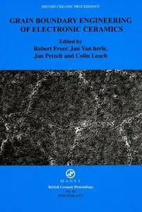 Grain boundary engineering of electronic ceramics : proceedings of a COST 525 meeting held in Aveiro, Portugal, October 2001
