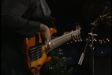Albert Collins - Live From Austin, Tx (2008)