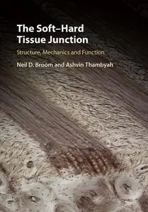 The Soft-Hard Tissue Junction: Structure, Mechanics and Function