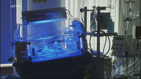 (Arte) L'utérus artificiel (2011)