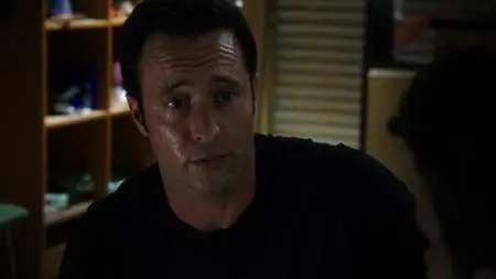 Hawaii Five-0 S05E19