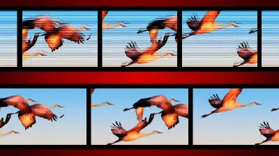 Red Giant Magic Bullet Frames 1.1