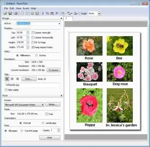 Print Pilot 1.5 Eng + Rus