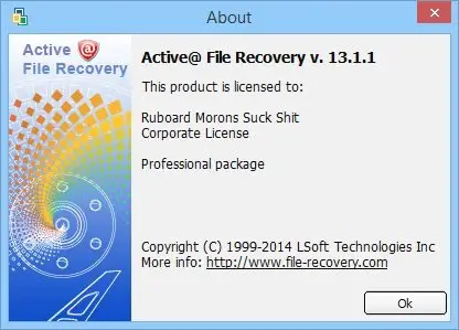 Active File Recovery Professional Corporate 13.1.1 (x86/x64)