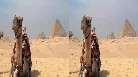 Egypt 3D (2013)