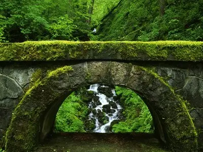 Nature pictures
