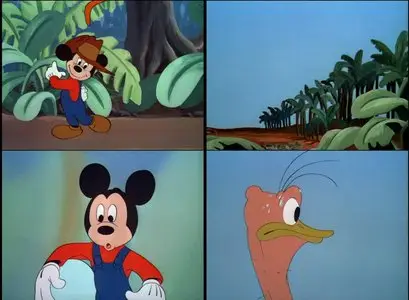 Disney Short Films: 463 Movies (1925-2006)