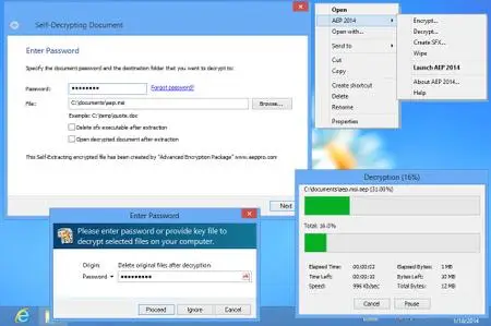 Advanced Encryption Package 2015 Professional 6.02