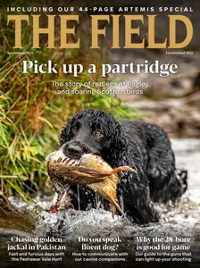 The Field - September 2025