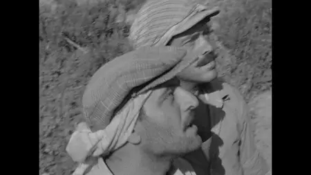 Susuz Yaz (1963) Dry Summer