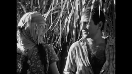 Susuz Yaz (1963) Dry Summer