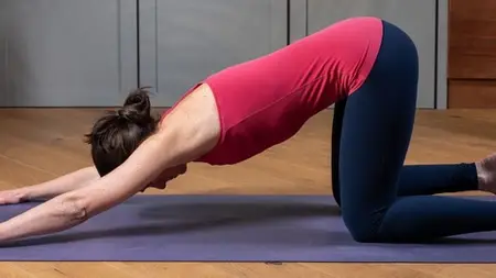 Hatha Yoga: Core, Energize & Transform Your Body