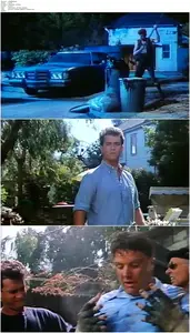 The 'Burbs (1989) [Open Matte]