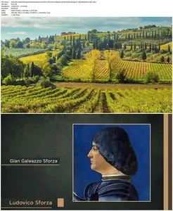 The Great Courses - How the Medici Shaped the Renaissance (2021)