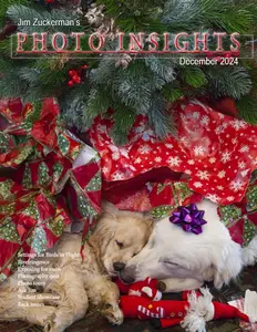 Photo Insights - December 2024