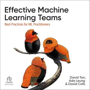 Effective Machine Learning Teams: Best Practices for ML Practitioners [Audiobook]