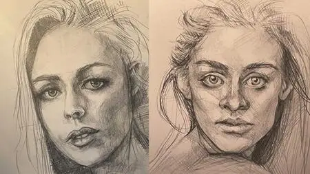 Realistic Pencil Drawing Traditional For Beginners