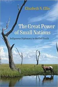The Great Power of Small Nations: Indigenous Diplomacy in the Gulf South