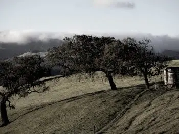 KristanixSoftware ImageBadger Deluxe v4.946