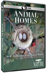 PBS Nature - Animal Homes: The Nest (2015)