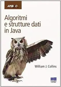 Algoritmi e strutture dati in Java