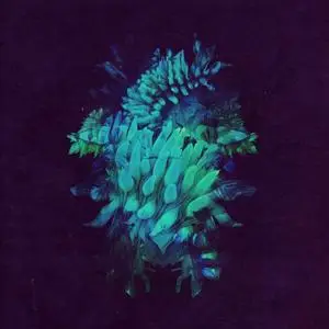Fakear - All Glows (2018)