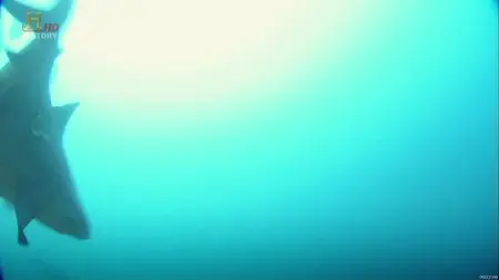 History Channel - The True Story Jaws (2012)
