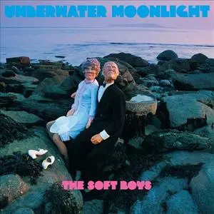 The Soft Boys - Underwater Moonlight... And How It Got There (2CD) (1980) {2001 Matador}