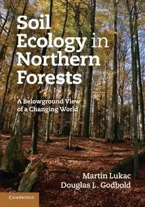 Soil Ecology in Northern Forests: A Belowground View of a Changing World