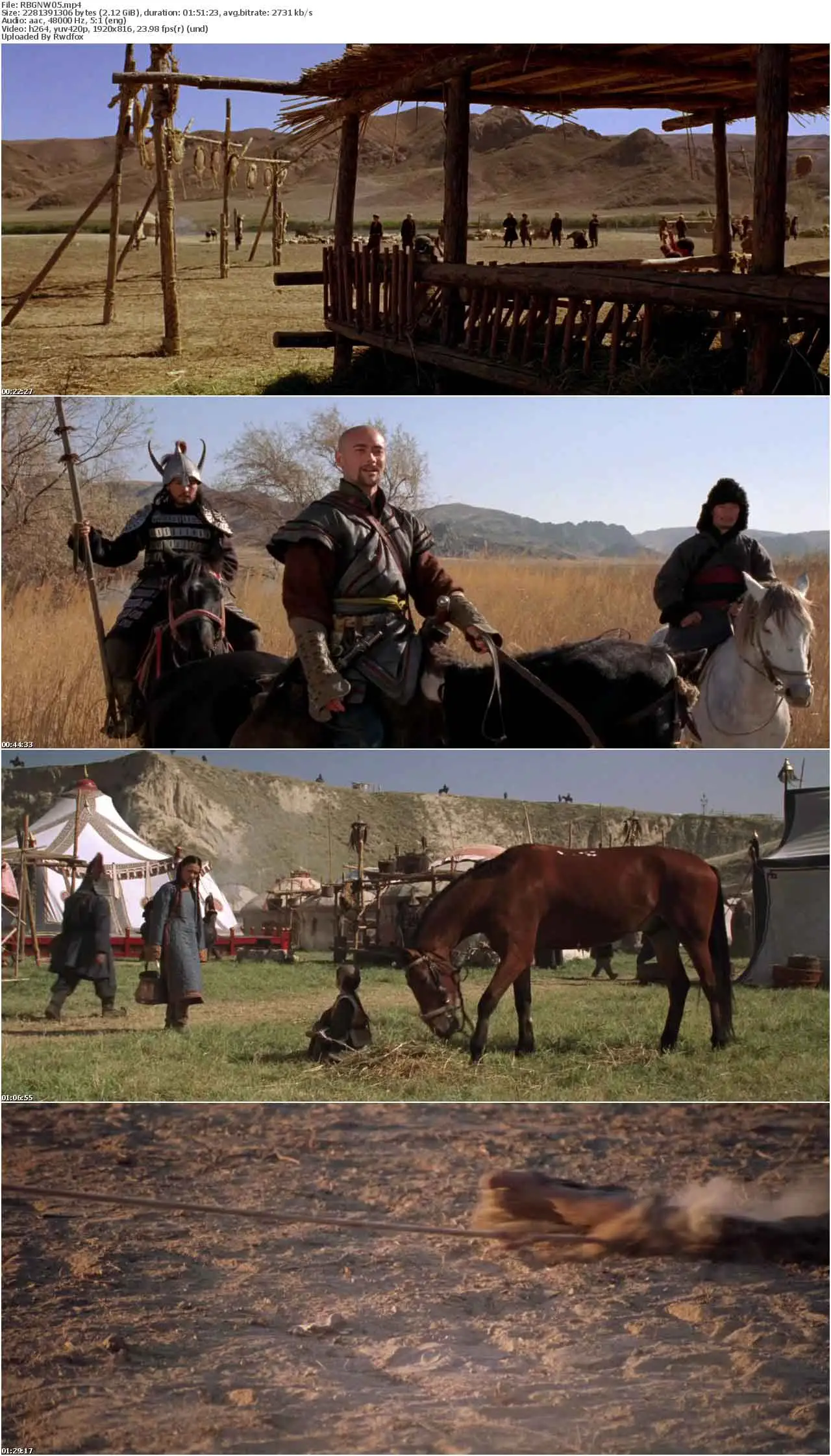 Nomad: The Warrior (2005)
