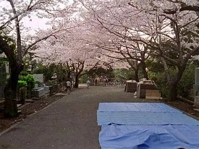 Tokyo-Ga (1985)