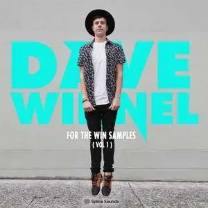 Splice Sounds - Dave Winnel For The Win Samples Vol 1 WAV