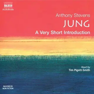 «Jung» by Anthony Stevens