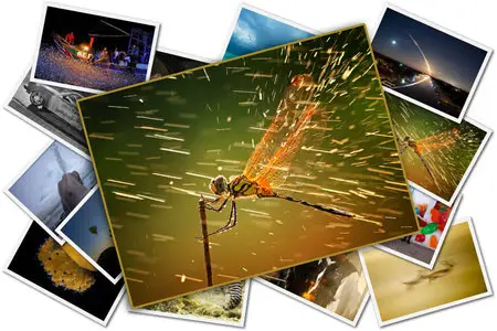 Winners of the National Geographic Photo Contest 2011